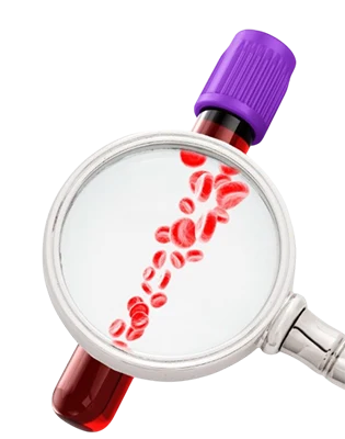 ImmunoHealth